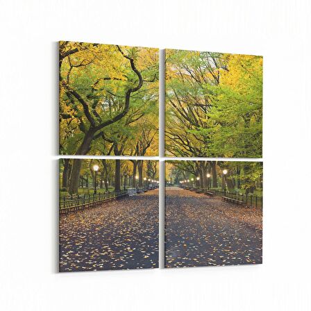 Olla 13297K4 Doğa / Manzara Görseli Kare 4'lü Kanvas Tablo (Ölçü: 65X65)