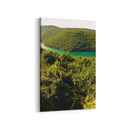 Olla 13698D Doğa / Manzara Görseli Dikey Kanvas Tablo (Ölçü: 60X90)