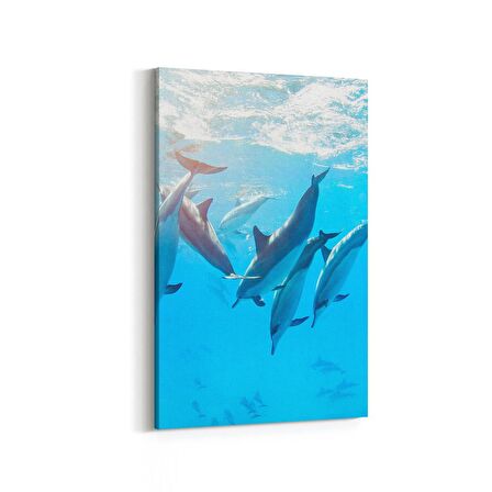Olla 12865D Deniz / Okyanus Görseli Dikey Kanvas Tablo (Ölçü: 100X150)