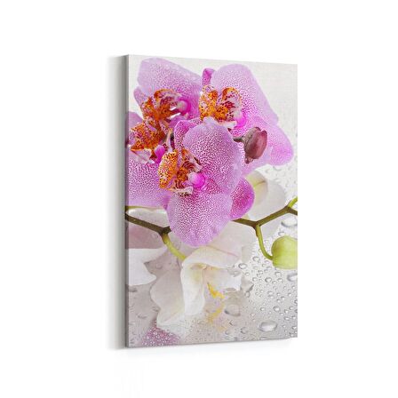 Olla 11658D Orkide Çiçek Görseli Dikey Kanvas Tablo (Ölçü: 80X120)