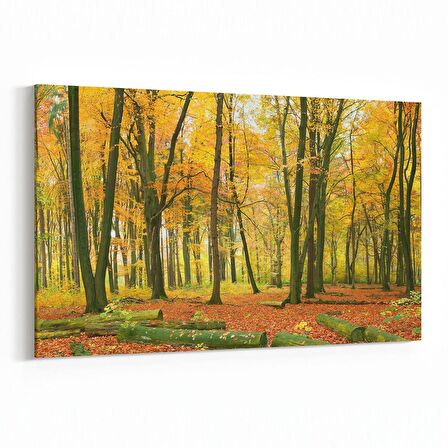 Olla 14354Y Doğa / Manzara Görseli Yatay Kanvas Tablo (Ölçü: 70X50)