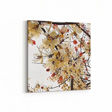 Olla 10482K Ağaç Görseli Kare Kanvas Tablo (Ölçü: 100X100)