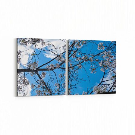 Olla 10764K2Y Ağaç Görseli Kare 2'li Yatay Kanvas Tablo (Ölçü: 145X70)