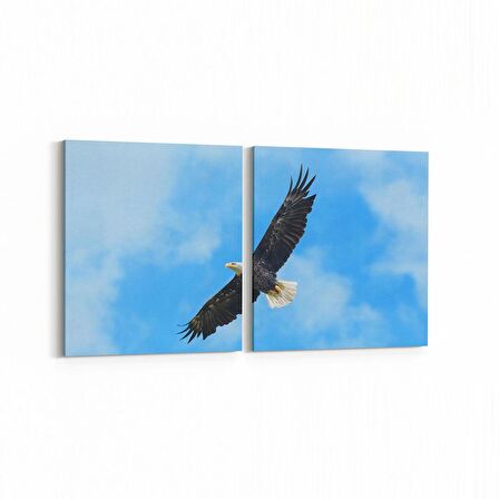Olla 15825K2Y Gökyüzü Kuşlar Görseli Kare 2'li Yatay Kanvas Tablo (Ölçü: 145X70)