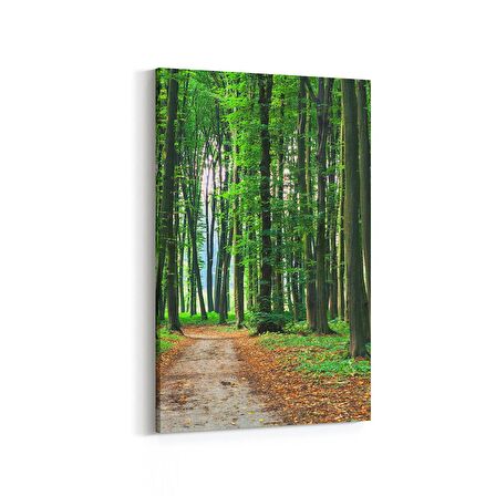Olla 13870D Doğa / Manzara Görseli Dikey Kanvas Tablo (Ölçü: 100X150)