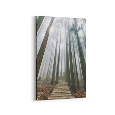 Olla 13461D Doğa / Manzara Görseli Dikey Kanvas Tablo (Ölçü: 60X90)