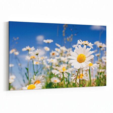 Olla 13544Y Doğa / Manzara Görseli Yatay Kanvas Tablo (Ölçü: 70X50)