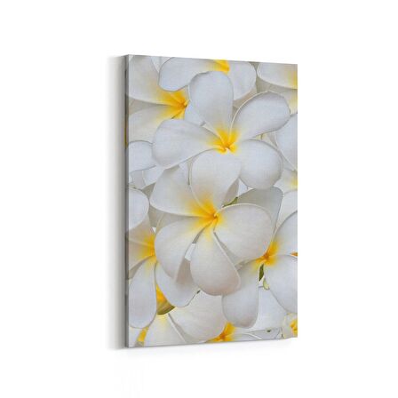 Olla 11633D Çiçek Görseli Dikey Kanvas Tablo (Ölçü: 60X90)