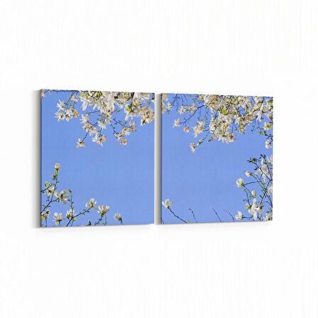 Olla 10962K2Y Ağaç Görseli Kare 2'li Yatay Kanvas Tablo (Ölçü: 85X40)