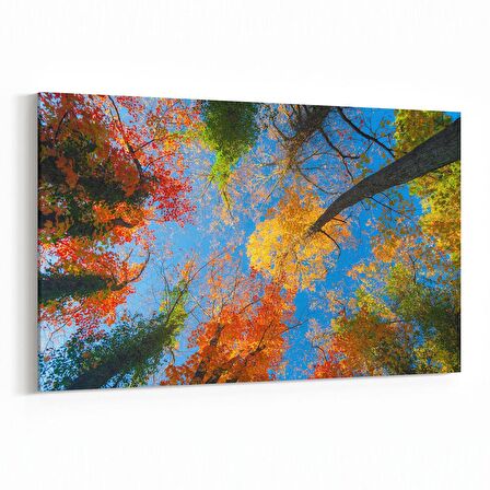 Olla 10512Y Ağaç Görseli Yatay Kanvas Tablo (Ölçü: 90X60)