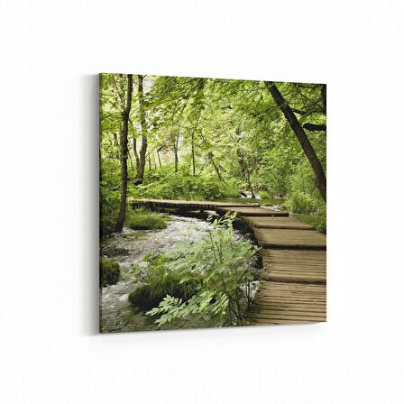 Olla 14231K Doğa / Manzara Görseli Kare Kanvas Tablo (Ölçü: 25X25)