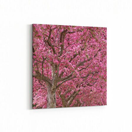 Olla 10588K Ağaç Görseli Kare Kanvas Tablo (Ölçü: 30X30)