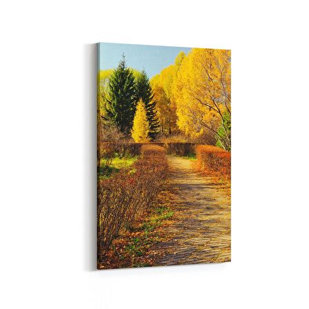 Olla 13235D Doğa / Manzara Görseli Dikey Kanvas Tablo (Ölçü: 100X150)