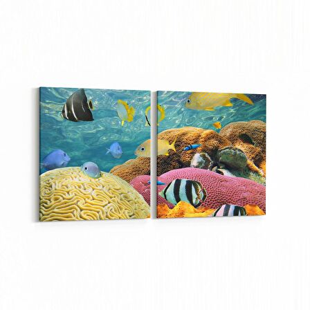Olla 12208K2Y Akvaryum / Balık Görseli Kare 2'li Yatay Kanvas Tablo (Ölçü: 145X70)