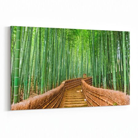 Olla 13916Y Doğa / Manzara Görseli Yatay Kanvas Tablo (Ölçü: 45X30)