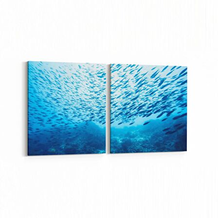 Olla 12081K2Y Akvaryum / Balık Görseli Kare 2'li Yatay Kanvas Tablo (Ölçü: 65X30)