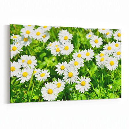 Olla 10945Y Ağaç Görseli Yatay Kanvas Tablo (Ölçü: 120X80)