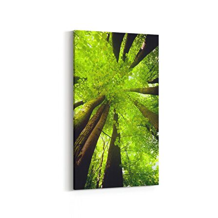 Olla 11539DD Palmiye Ağacı Görseli Dikey Dar Kanvas Tablo (Ölçü: 40X80)