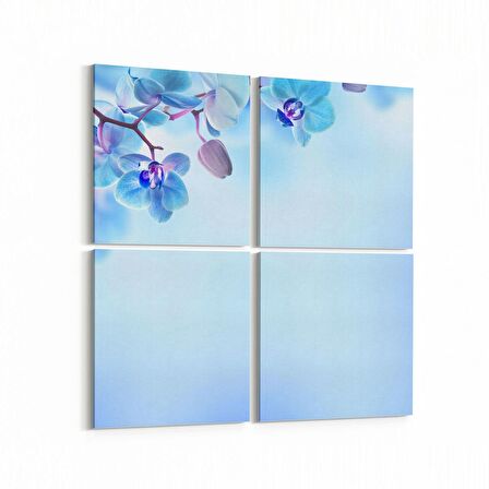 Olla 11690K4 Orkide Çiçek Görseli Kare 4'lü Kanvas Tablo (Ölçü: 145X145)