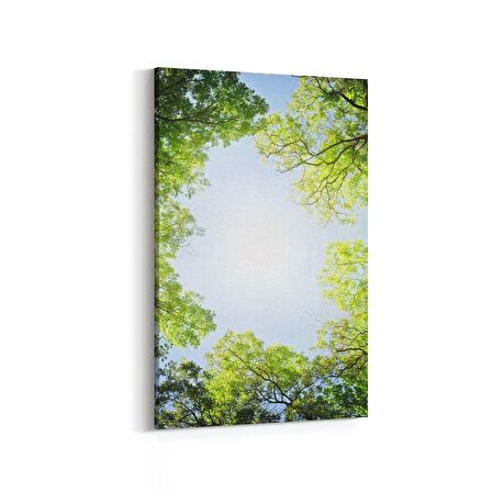 Olla 10749D Ağaç Görseli Dikey Kanvas Tablo (Ölçü: 70X105)
