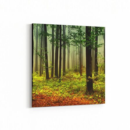 Olla 13271K Doğa / Manzara Görseli Kare Kanvas Tablo (Ölçü: 60X60)