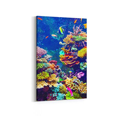 Olla 12121D Akvaryum / Balık Görseli Dikey Kanvas Tablo (Ölçü: 70X105)