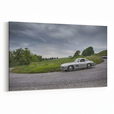 Olla 12317Y Araç Görseli Yatay Kanvas Tablo (Ölçü: 45X30)