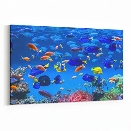 Olla 12093Y Akvaryum / Balık Görseli Yatay Kanvas Tablo (Ölçü: 90X60)