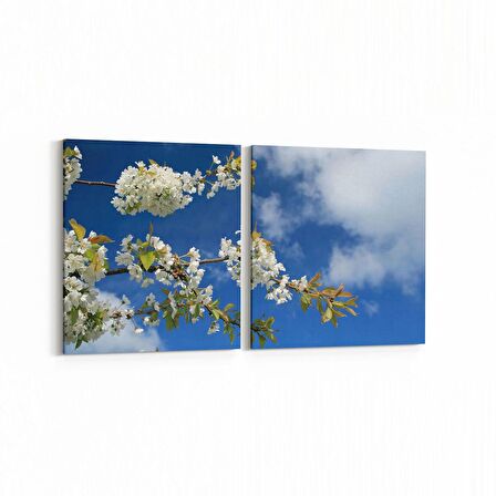 Olla 10995K2Y Ağaç Görseli Kare 2'li Yatay Kanvas Tablo (Ölçü: 85X40)