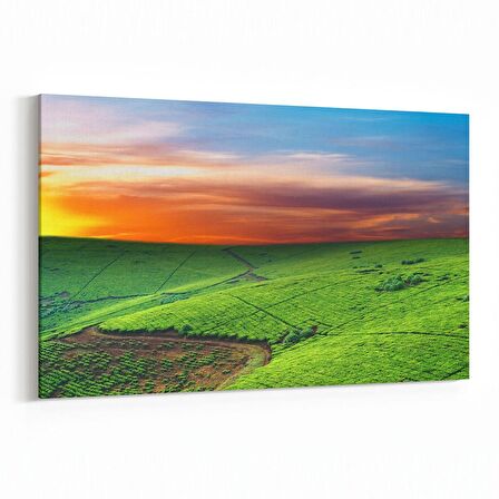 Olla 15905Y Günbatımı Görseli Yatay Kanvas Tablo (Ölçü: 90X60)