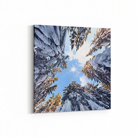 Olla 10488K Ağaç Görseli Kare Kanvas Tablo (Ölçü: 60X60)