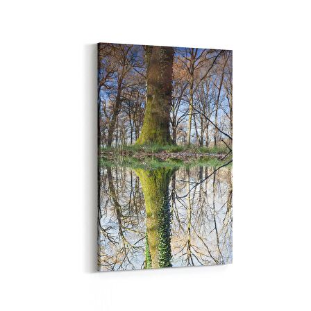 Olla 13617D Doğa / Manzara Görseli Dikey Kanvas Tablo (Ölçü: 60X90)