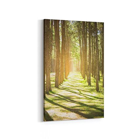 Olla 14322D Doğa / Manzara Görseli Dikey Kanvas Tablo (Ölçü: 60X90)