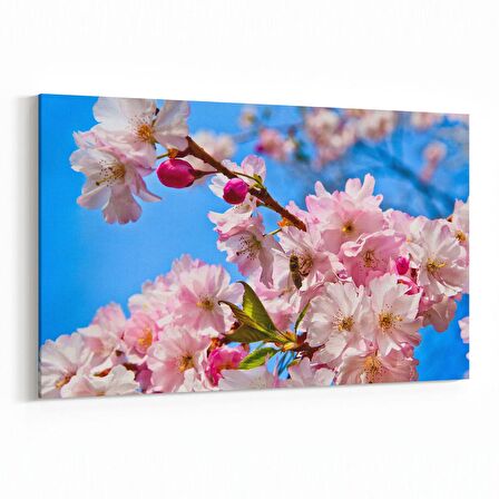 Olla 11062Y Ağaç Görseli Yatay Kanvas Tablo (Ölçü: 45X30)