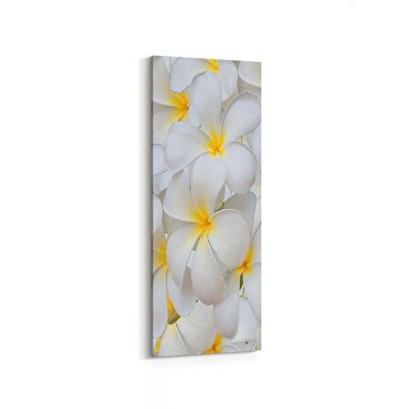 Olla 11633DI Çiçek Görseli Dikey İnce Kanvas Tablo (Ölçü: 40X120)
