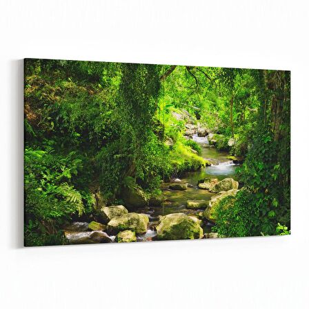 Olla 13236Y Doğa / Manzara Görseli Yatay Kanvas Tablo (Ölçü: 90X60)
