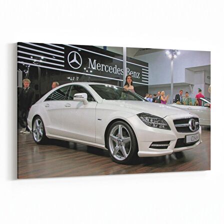 Olla 12403Y Araç Görseli Yatay Kanvas Tablo (Ölçü: 90X60)