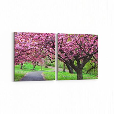 Olla 14265K2Y Doğa / Manzara Görseli Kare 2'li Yatay Kanvas Tablo (Ölçü: 65X30)