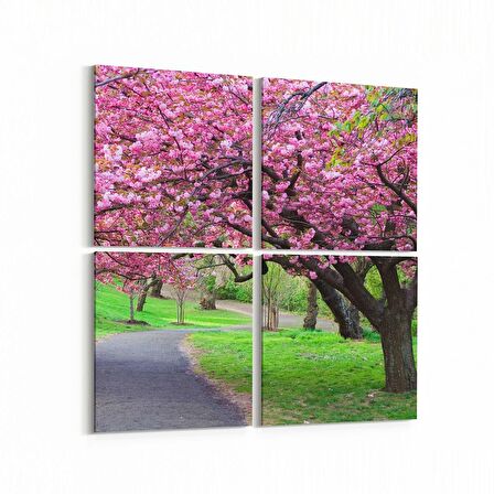 Olla 14265K4 Doğa / Manzara Görseli Kare 4'lü Kanvas Tablo (Ölçü: 145X145)