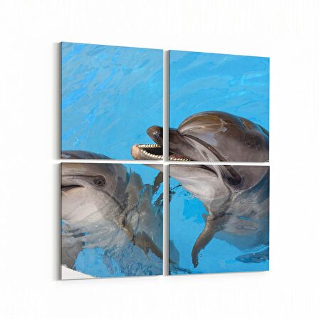 Olla 12999K4 Deniz / Okyanus Görseli Kare 4'lü Kanvas Tablo (Ölçü: 65X65)