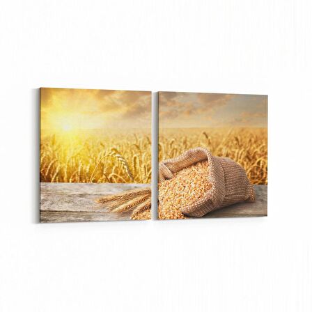 Olla 15253K2Y Gıda Görseli Kare 2'li Yatay Kanvas Tablo (Ölçü: 145X70)