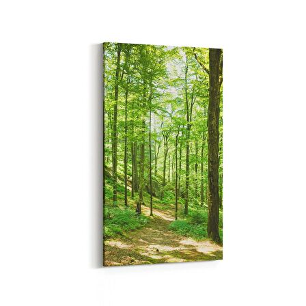 Olla 13850DD Doğa / Manzara Görseli Dikey Dar Kanvas Tablo (Ölçü: 40X80)