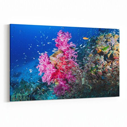 Olla 12104Y Akvaryum / Balık Görseli Yatay Kanvas Tablo (Ölçü: 70X50)