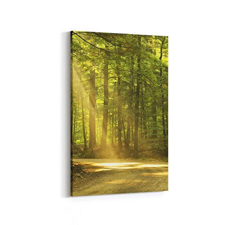 Olla 14045D Doğa / Manzara Görseli Dikey Kanvas Tablo (Ölçü: 100X150)