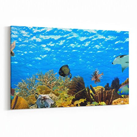 Olla 12097Y Akvaryum / Balık Görseli Yatay Kanvas Tablo (Ölçü: 90X60)