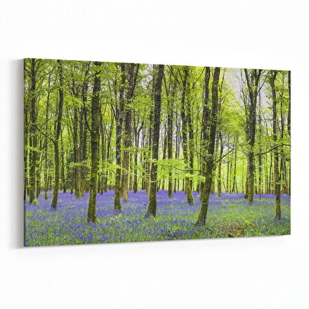 Olla 13442Y Doğa / Manzara Görseli Yatay Kanvas Tablo (Ölçü: 45X30)