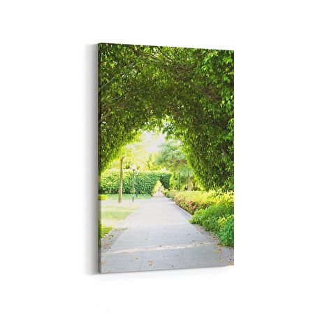 Olla 13639D Doğa / Manzara Görseli Dikey Kanvas Tablo (Ölçü: 100X150)
