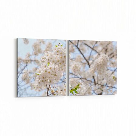 Olla 10573K2Y Ağaç Görseli Kare 2'li Yatay Kanvas Tablo (Ölçü: 145X70)