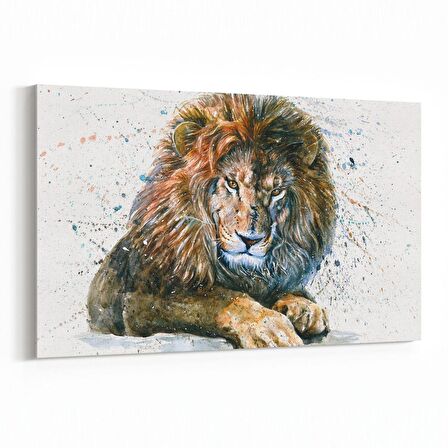 Olla 12654Y Hayvanlar Alemi Görseli Yatay Kanvas Tablo (Ölçü: 45X30)