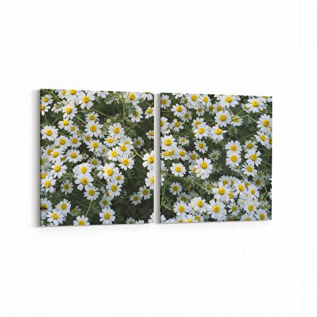 Olla 11611K2Y Çiçek Görseli Kare 2'li Yatay Kanvas Tablo (Ölçü: 145X70)